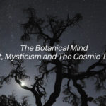 The Botanical Mind Online: Ένα πρότζεκτ για τη σημασία των φυτών για τον άνθρωπο