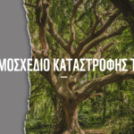 Σχεδόν 30 χιλιάδες πολίτες και δεκάδες περιβαλλοντικές οργανώσεις ζητούν απόσυρση διάταξης για τις δημόσιες συμβάσεις