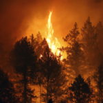 ΗΠΑ: Μια γιγαντιαία σεκόγια καίγεται από το καλοκαίρι του 2020