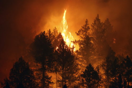 ΗΠΑ: Μια γιγαντιαία σεκόγια καίγεται από το καλοκαίρι του 2020