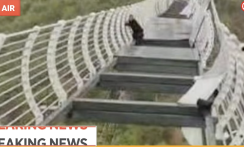 Εικόνες τρόμου στην Κίνα: Τουρίστας κρατιέται από γυάλινη γέφυρα που διαλύεται [BINTEO]