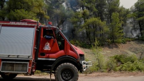 Συνελήφθη 26χρονος για την πυρκαγιά σε δασική έκταση στη Νίκαια