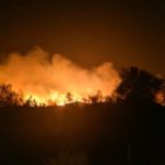 Έκκληση για βοήθεια από τις φιλοζωικές για τα ζώα που κινδυνεύουν από την πυρκαγιά