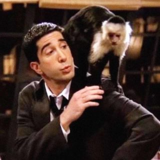 Για πόσα επεισόδια ακόμα θα αφήσεις τον Μαρσέλ στο Δωμάτιο;