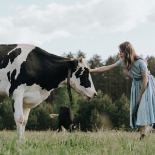 Τα ζώα θα αναγνωρίζονται ως όντα με συναισθήματα στη Μ. Βρετανία