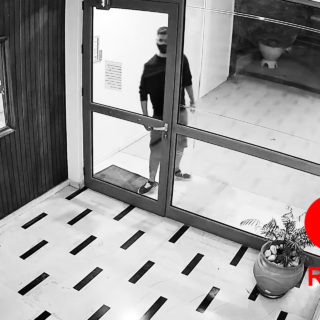 Τα πουλιά των «ωραίων παιδιών» μπορεί να είναι εξίσου τρομακτικά πουλιά