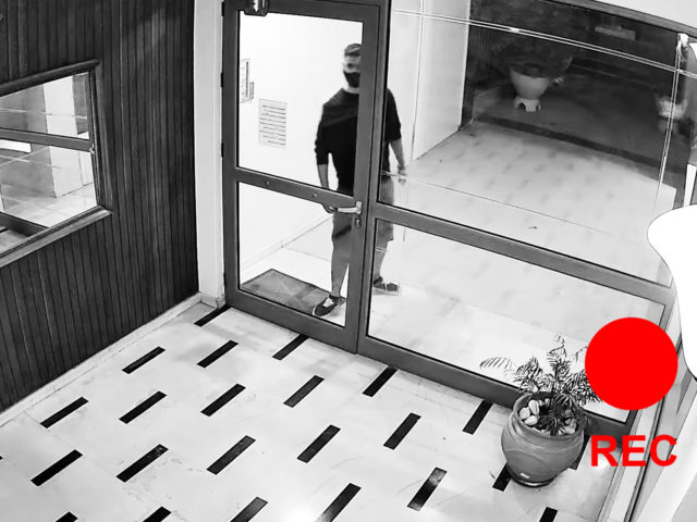 Τα πουλιά των «ωραίων παιδιών» μπορεί να είναι εξίσου τρομακτικά πουλιά