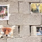 Η ανακοίνωση της Πανελλήνιας Ομοσπονδίας Θεάματος Ακροάματος για το θέατρο «ΕΜΠΡΟΣ»