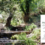 Παγκόσμια Ημέρα Περιβάλλοντος: 31 οργανώσεις ενώνουν τις φωνές τους για την προστασία της φύσης