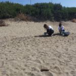 Χιλιάδες πλαστικά κατακλύζουν τις ελληνικές παραλίες, θες να υιοθετήσεις μία;