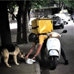 Ράγισε και η δική μας καρδιά στη θέα του διανομέα που ταΐζει έναν αδέσποτο σκύλο
