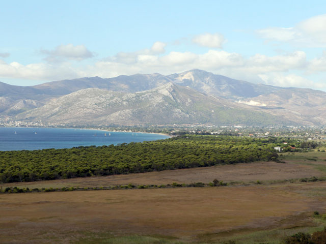 Στην αποψίλωση έκτασης στην καρδιά του Εθνικού Πάρκου Σχινιά προχώρησε χθες ιδιώτης εργολάβος