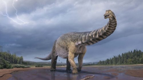 Αυστραλοτιτάνας: Μήκος όσο ένα γήπεδο μπάσκετ είχε ο νέος δεινόσαυρος που ανακαλύφθηκε