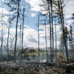 Σε κατάσταση έκτακτης ανάγκης κηρύχτηκε η Βρετανική Κολομβία του Καναδά