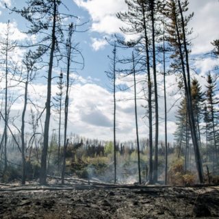 Σε κατάσταση έκτακτης ανάγκης κηρύχτηκε η Βρετανική Κολομβία του Καναδά