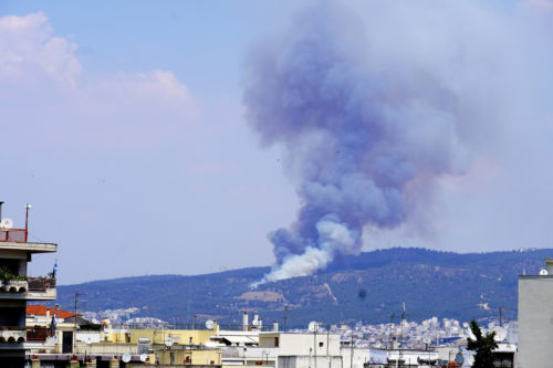 Φωτιά ξέσπασε στο δάσος του Σέιχ Σου