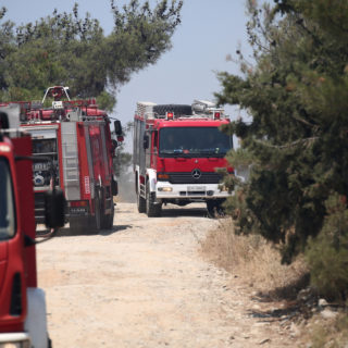 Φωτιά τώρα σε δασική έκταση στην άνω Βαρυμπόμπη