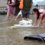 Κίνα: Συνεχίζονται οι καταστροφικές πλημμύρες στο κεντρικό τμήμα της χώρας