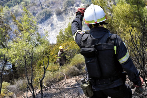 Φωτιά στη Λήμνο – Άμεση κινητοποίηση της πυροσβεστικής
