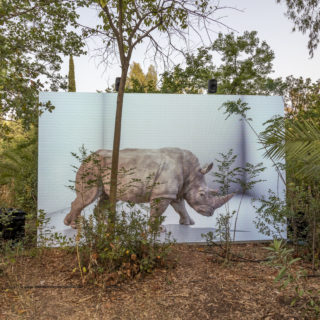 Εσύ κι εγώ, στο Πεδίον του Άρεως. Παρέα με την Τεχνητή Νοημοσύνη. «Μπορείς να κρυφτείς;»