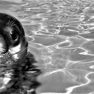 «Εσύ μου στέρησες τη ζωή, μα εγώ αποζητούσα μονάχα χάδια και αγκαλιές»
