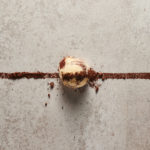 Παγωτό παρμεζάνα; Παγωτό με λευκή τρούφα ή παγωτό σαμπάνια τριαντάφυλλο;