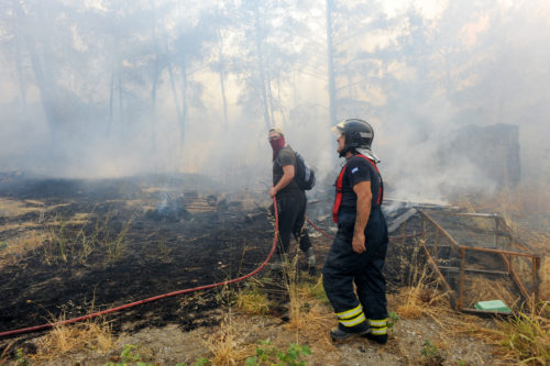 Άνευ προηγουμένου το μέγεθος της οικολογικής καταστροφής από τις πυρκαγιές