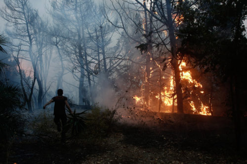 Φωτιά στην Ηλεία: Συνεχίζεται το πύρινα μέτωπα – Εκκενώθηκαν οικισμοί [BINTEO]