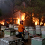 Πυρκαγιά-Βαρυμπόμπη: Ολική διακοπή κυκλοφορίας στο τμήμα Καπανδρίτι – Λυκόβρυση