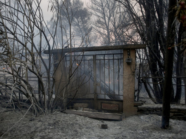 Άρχισε η εισαγγελική έρευνα για τις φωτιές της Αττικής – Αναζητούνται ευθύνες και σε όσους όφειλαν να τις αποτρέψουν