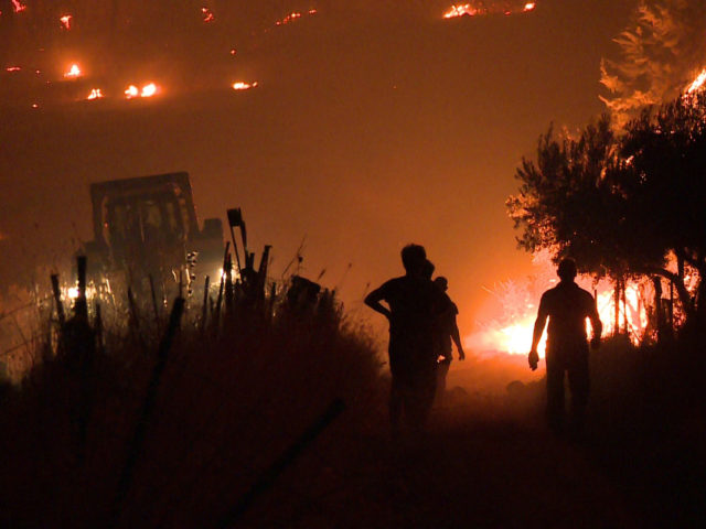 Συνεχίζεται η μάχη με τις φλόγες – Μαίνονται πυρκαγιές σε Εύβοια, Αρχαία Ολυμπία και Μεσσηνία