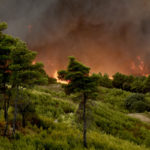 Δήμαρχος Ωρωπού: Ισχυροί άνεμοι και αναζωπυρώσεις στην περιοχή των Αφιδνών αυτήν την ώρα