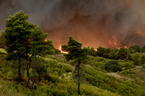 Πολύ υψηλός κίνδυνος πυρκαγιάς σήμερα για τέσσερις περιφέρειες της χώρας