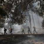 Προσαγωγή ενός «ύποπτου εθελοντή» για την πυρκαγιά στο Κρυονέρι