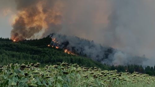 Μεγάλη αναζωπύρωση στην Εύβοια – Οι φωτιές απειλούν το χωριό Αβγαριά