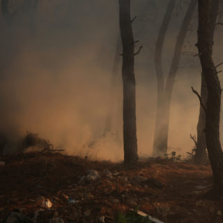 Συνεχίζονται οι αναζωπυρώσεις της φωτιάς στην Ηλεία – Σε κατάσταση έκτακτης ανάγκης τέσσερις δημοτικές ενότητες