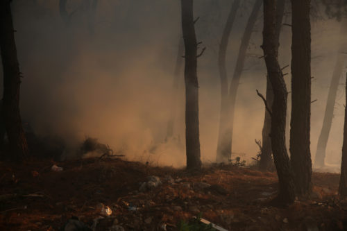 Συνεχίζονται οι αναζωπυρώσεις της φωτιάς στην Ηλεία – Σε κατάσταση έκτακτης ανάγκης τέσσερις δημοτικές ενότητες