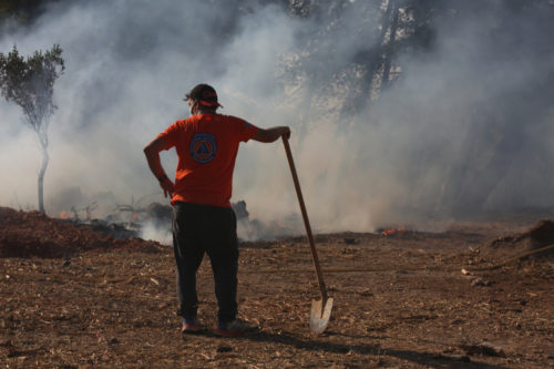 Πυρκαγιά στην Ηλεία: Μάχη με τις αναζωπυρώσεις