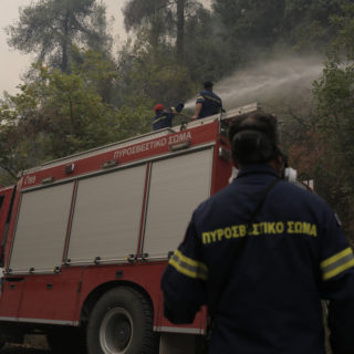 Φωτιά στην Εύβοια: Μεγάλη αναζωπύρωση στην Αβγαριά