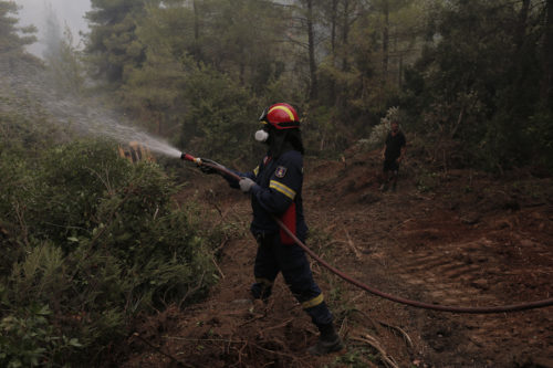 Πυρκαγιές από κεραυνούς σε Μάνδρα και Χαλκιδική