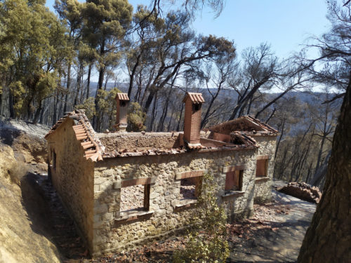 Μενδώνη: «Ζημιές σε επτά κτήρια στο Τατόι από την πυρκαγιά – Άθικτα τα αντικείμενα στα κοντέινερς»