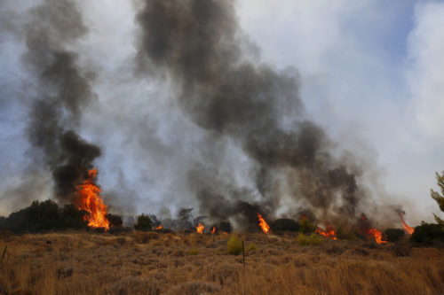 Φωτιά στην Κερατέα: «Το μέτωπο είναι ενιαίο και μεγάλο» λέει ο δήμαρχος Σαρωνικού