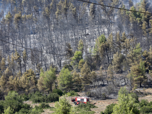 Νέα φωτιά στα Βίλια – Εκκενώθηκαν προληπτικά δύο οικισμοί