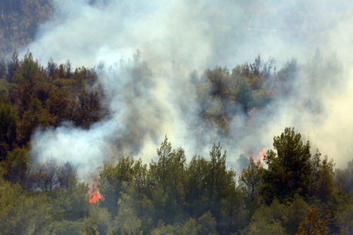 Σε εξέλιξη η πυρκαγιά στα Βίλια – Αναζωπυρώσεις στην Λαυρεωτική