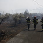 Υπό έλεγχο η πυρκαγιά στο Οροπέδιο Λασιθίου