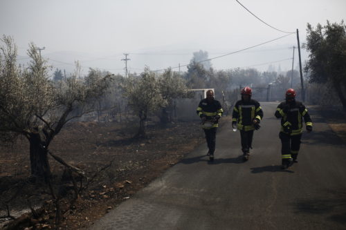 Υπό έλεγχο η πυρκαγιά στο Οροπέδιο Λασιθίου