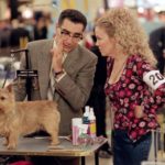 Park Your Cinema & Park Your Cinema Kids  Θερινό σινεμά στα Πανοραμικά Σκαλιά του ΚΠΙΣΝ