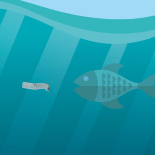 Τί «κόστος» έχει μια πεταμένη γόπα στην άμμο;