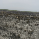 Πτήση με drone πάνω από τη Βαρυμπόμπη αποκαλύπτει το μέγεθος της καταστροφής [ΒΙΝΤΕΟ]