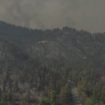 «Κρανίου τόπος» η Βόρεια Εύβοια – Εικόνες από drone αποτυπώνουν το μέγεθος της καταστροφής  [ΒΙΝΤΕΟ]